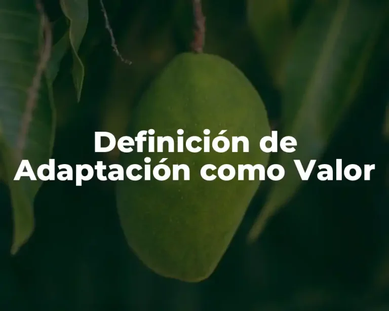 Definición de Adaptación como Valor