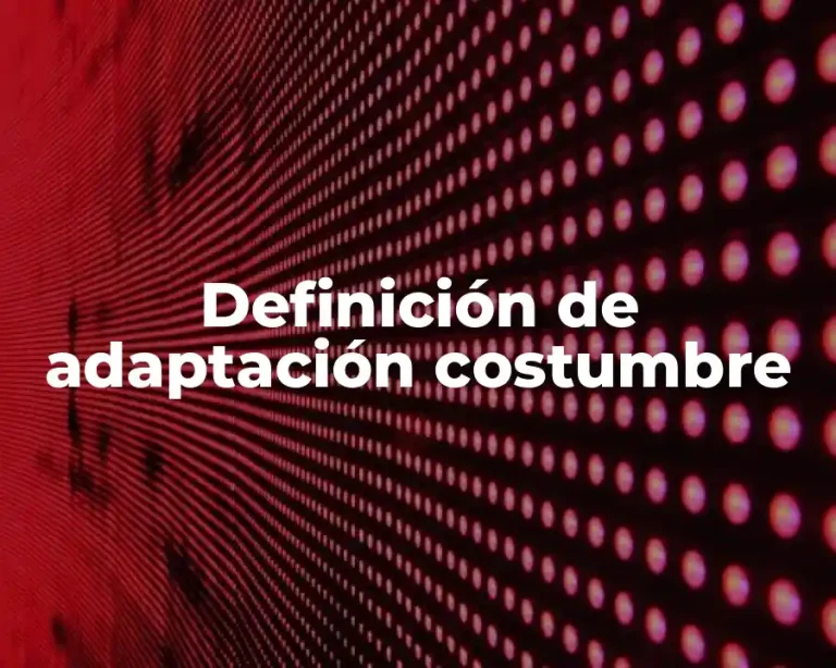 Definición de adaptación costumbre