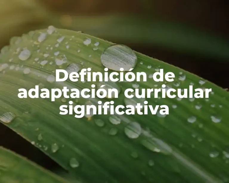 Definición de adaptación curricular significativa