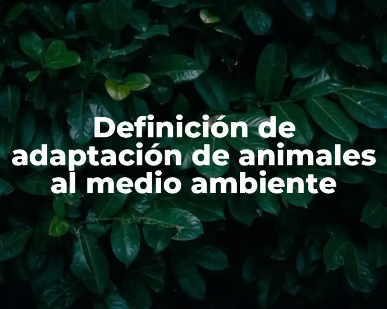 Definición de adaptación de animales al medio ambiente