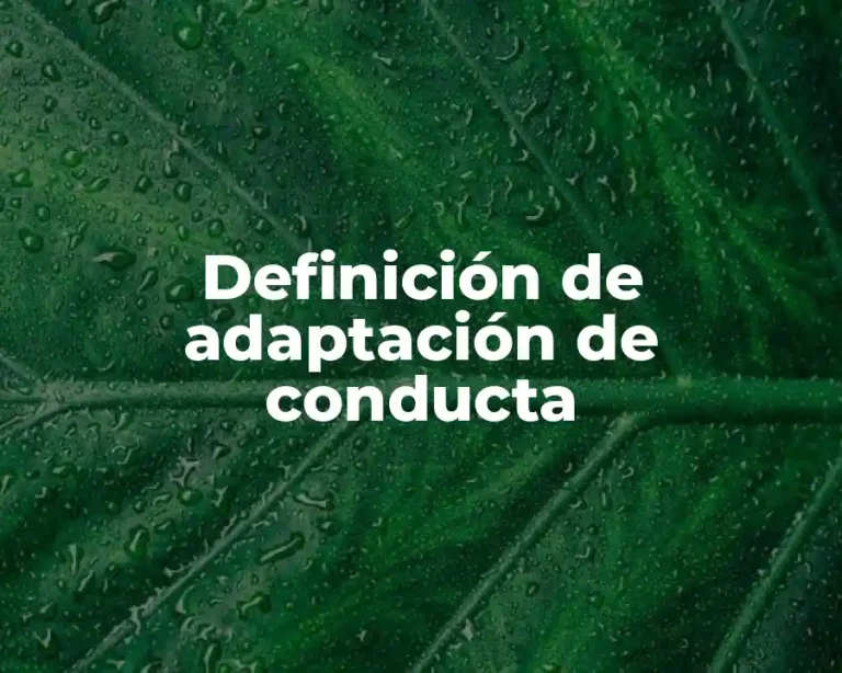 Definición de adaptación de conducta