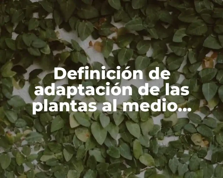 Definición de adaptación de las plantas al medio ambiente