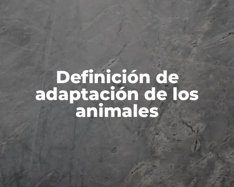 Definición de adaptación de los animales