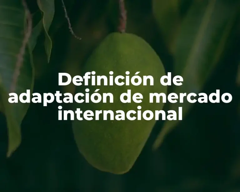 Definición de adaptación de mercado internacional