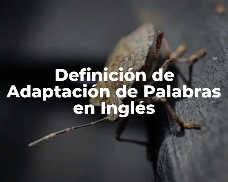 Definición de Adaptación de Palabras en Inglés