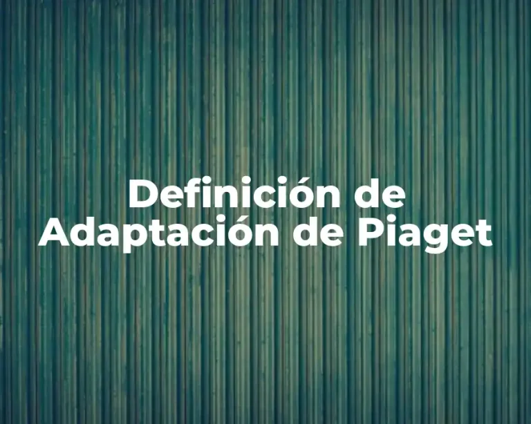 Definición de Adaptación de Piaget