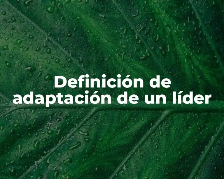 Definición de adaptación de un líder