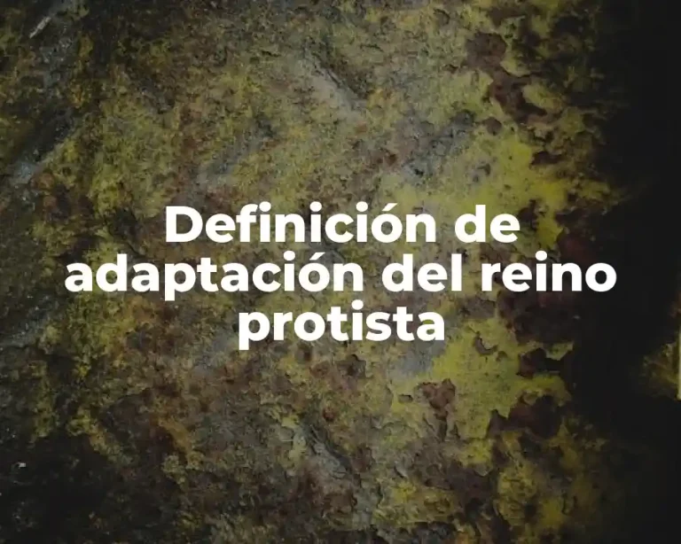 Definición de adaptación del reino protista