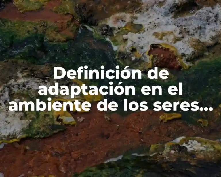 Definición de adaptación en el ambiente de los seres vivos