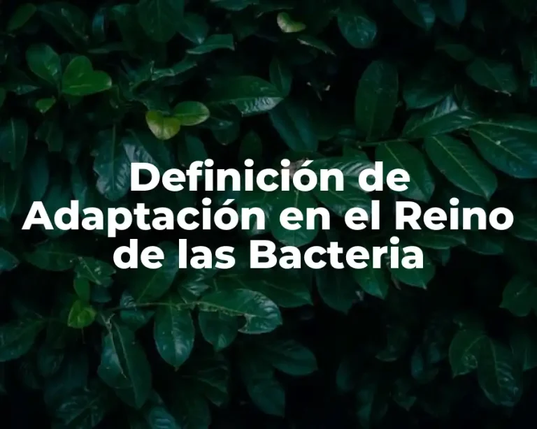 Definición de Adaptación en el Reino de las Bacteria