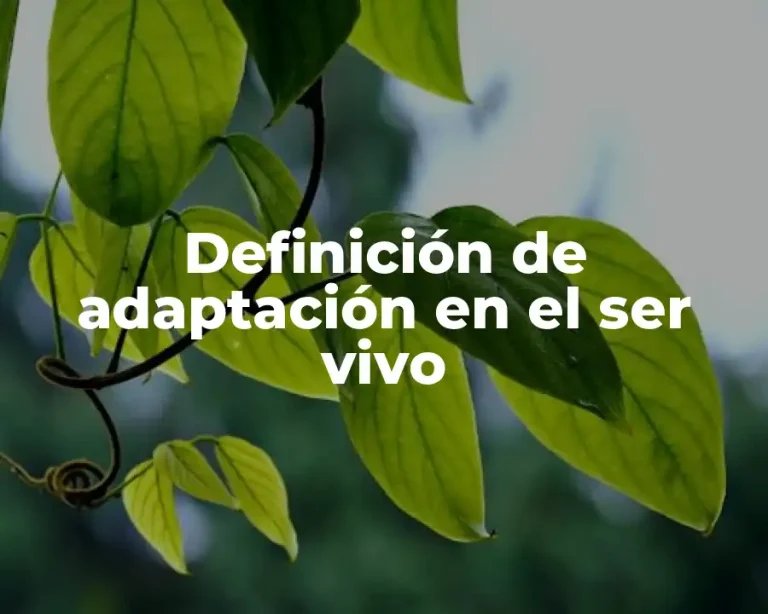 Definición de adaptación en el ser vivo
