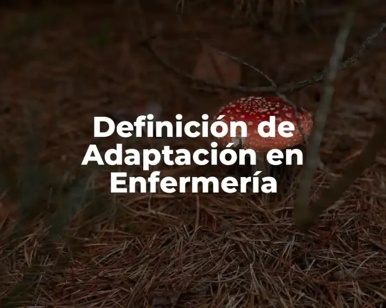 Definición de Adaptación en Enfermería