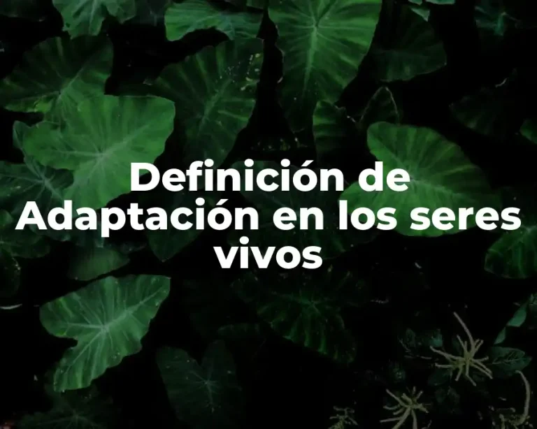 Definición de Adaptación en los seres vivos