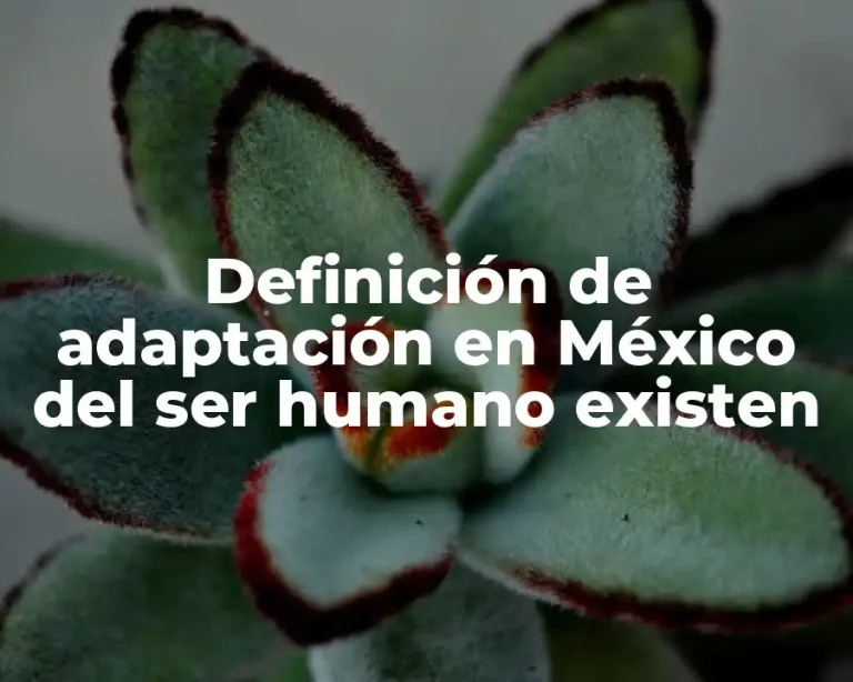 Definición de adaptación en México del ser humano existen