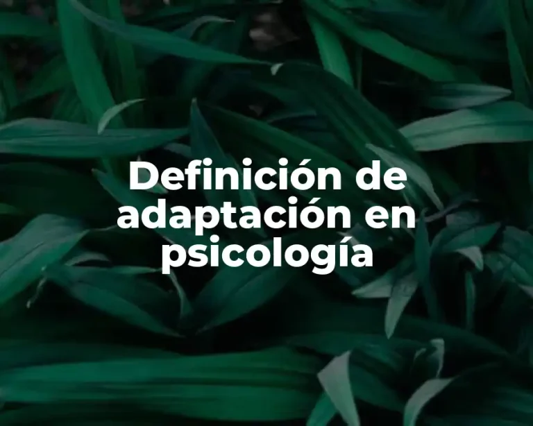 Definición de adaptación en psicología