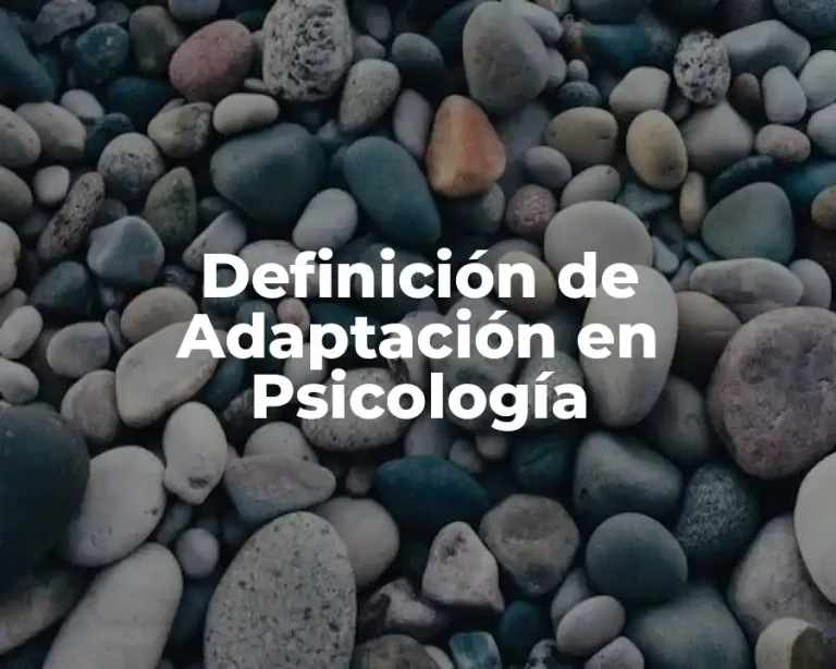 Definición de Adaptación en Psicología
