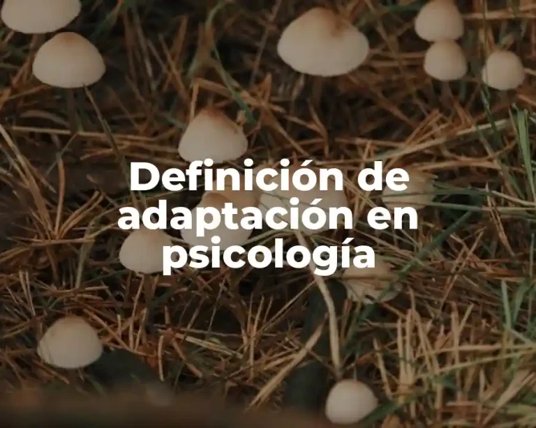 Definición de adaptación en psicología