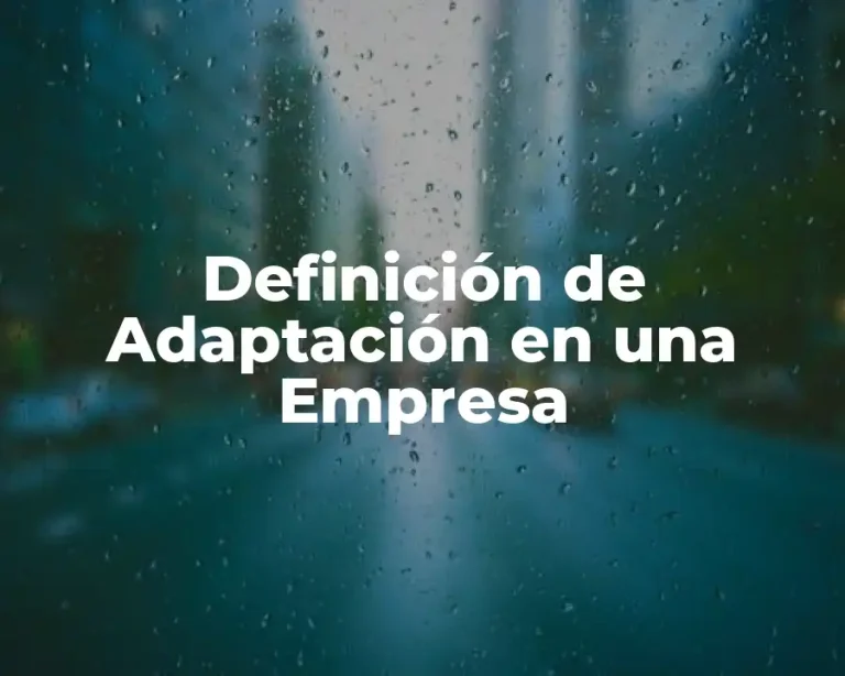 Definición de Adaptación en una Empresa