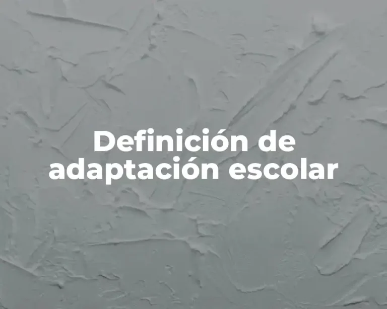 Definición de adaptación escolar
