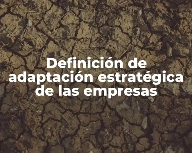 Definición de adaptación estratégica de las empresas