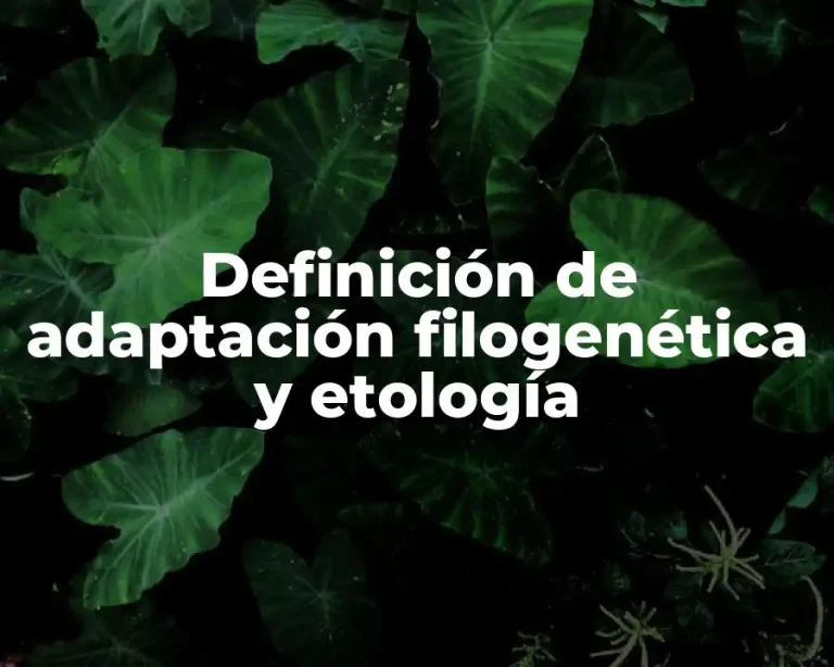 Definición de adaptación filogenética y etología