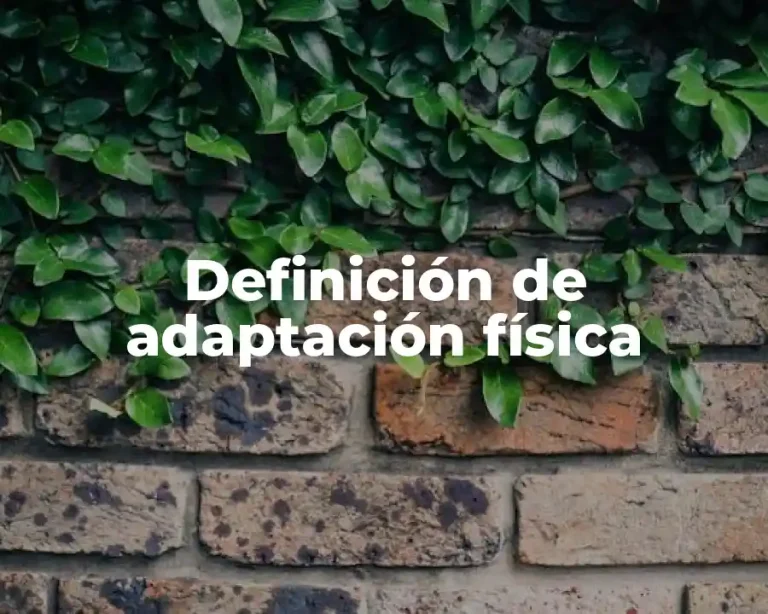 Definición de adaptación física
