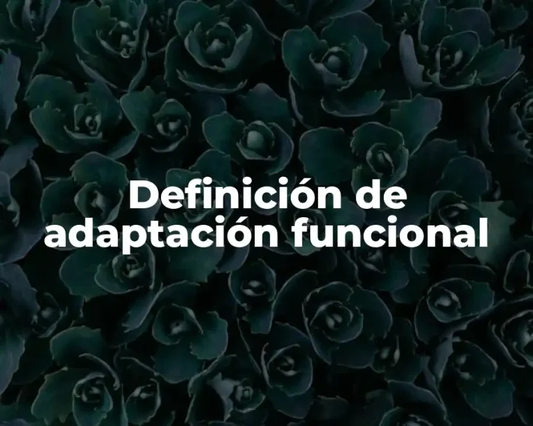 Definición de adaptación funcional