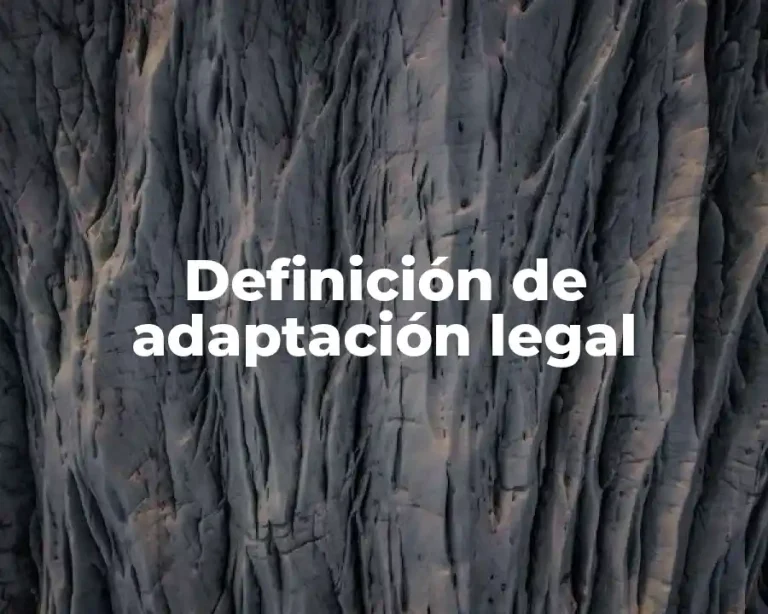 Definición de adaptación legal