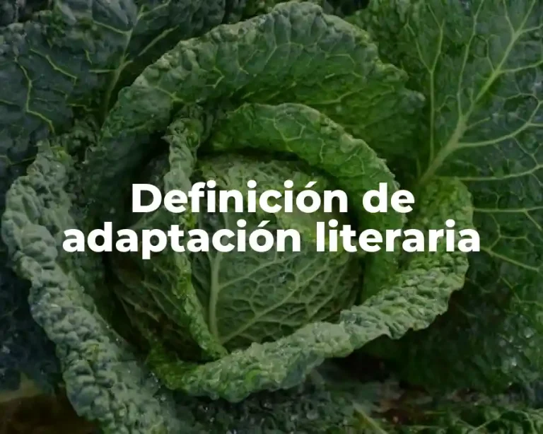 Definición de adaptación literaria