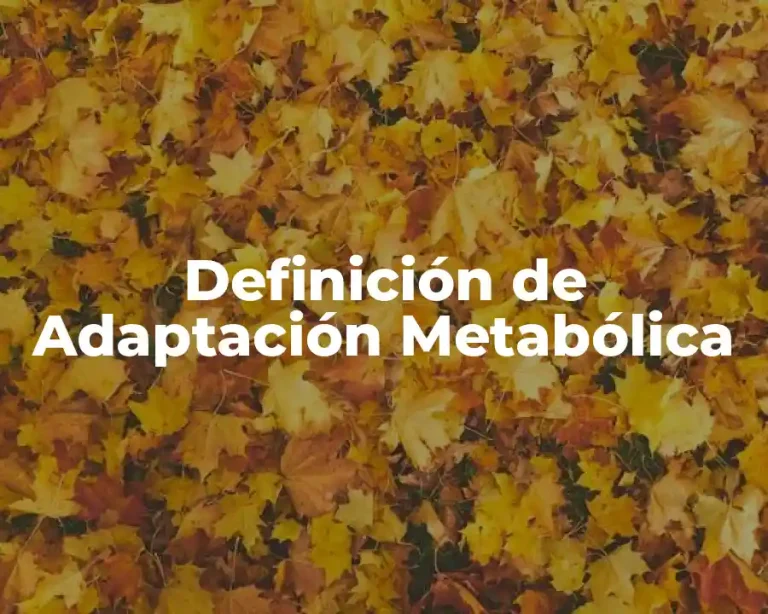 Definición de Adaptación Metabólica