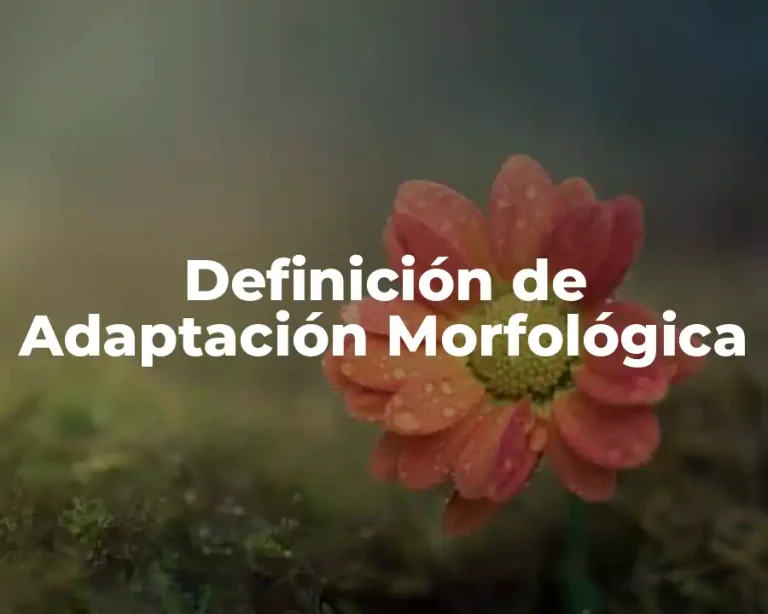 Definición de Adaptación Morfológica