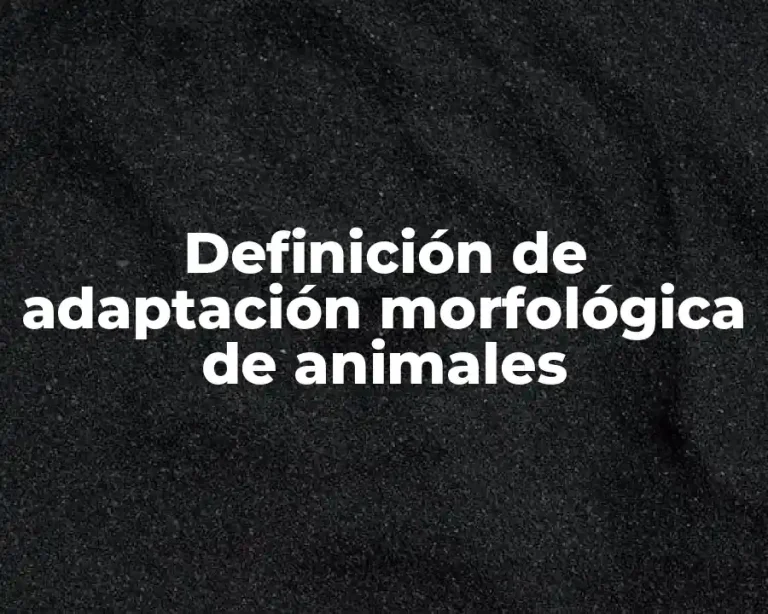 Definición de adaptación morfológica de animales