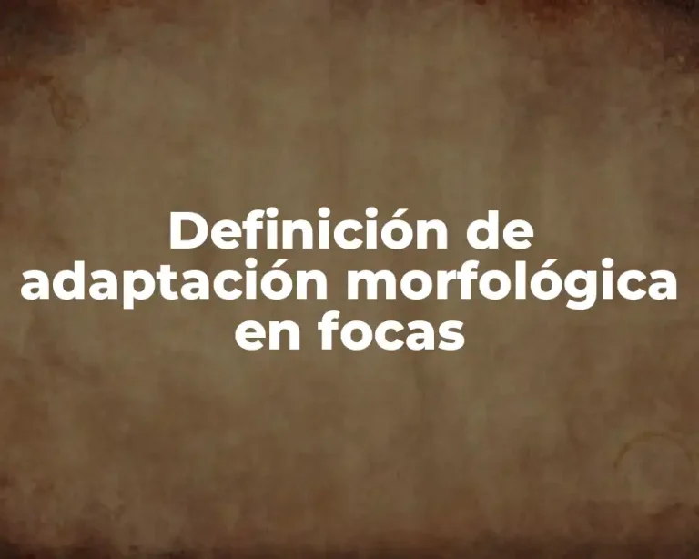Definición de adaptación morfológica en focas