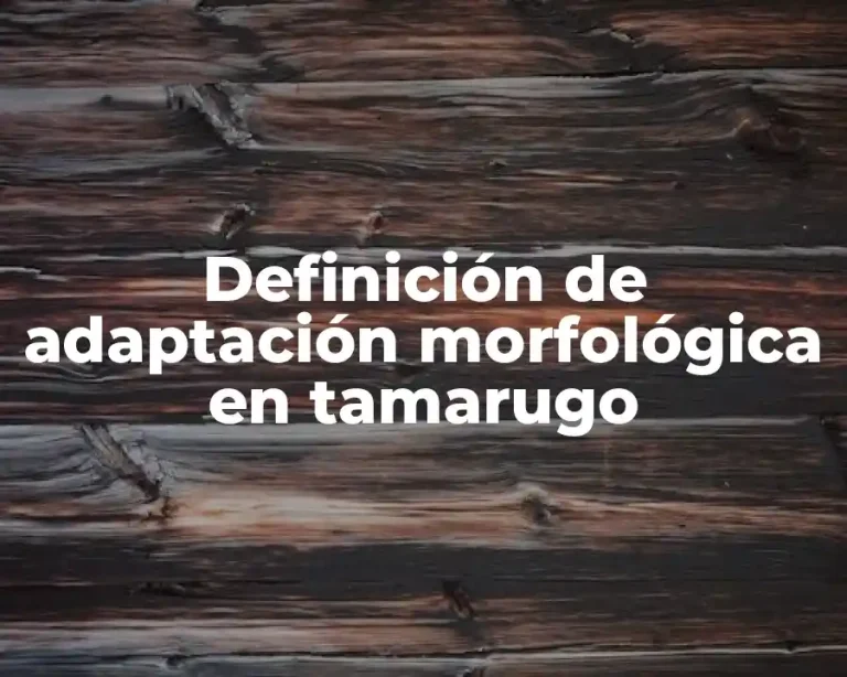 Definición de adaptación morfológica en tamarugo