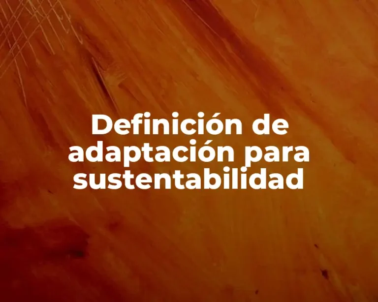 Definición de adaptación para sustentabilidad