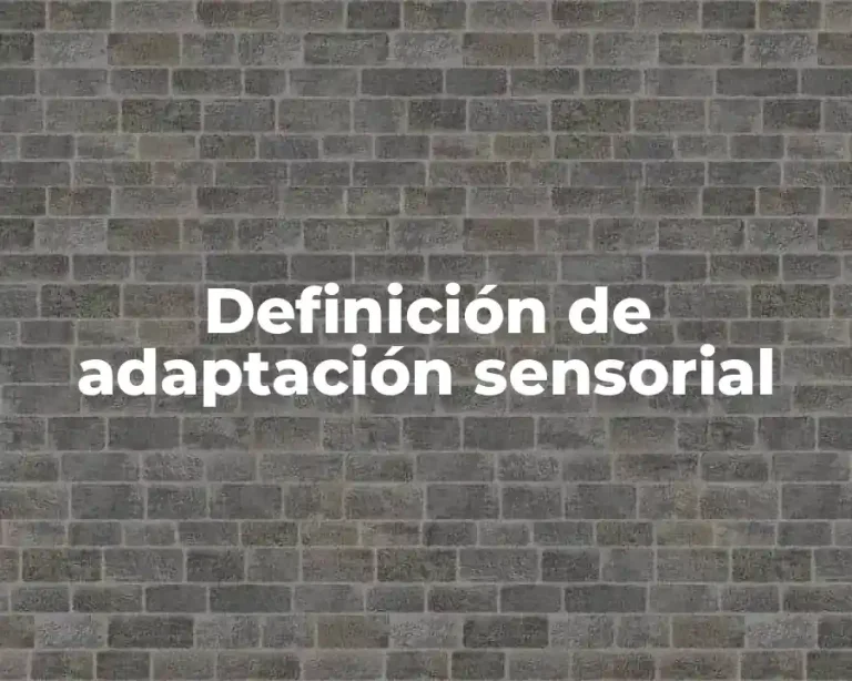 Definición de adaptación sensorial
