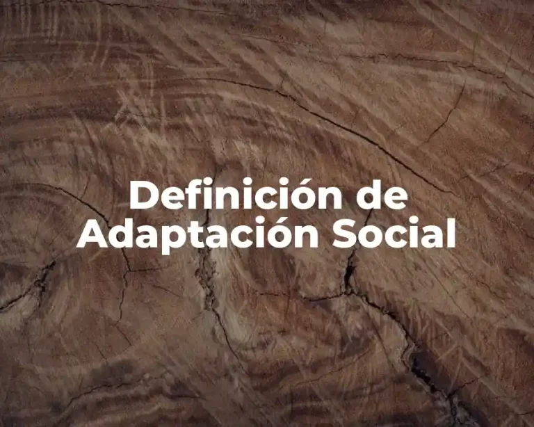 Definición de Adaptación Social
