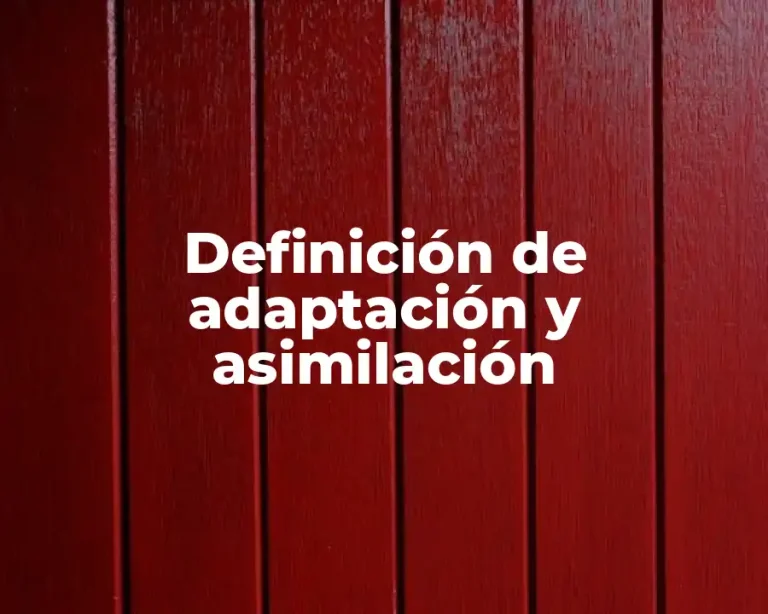 Definición de adaptación y asimilación