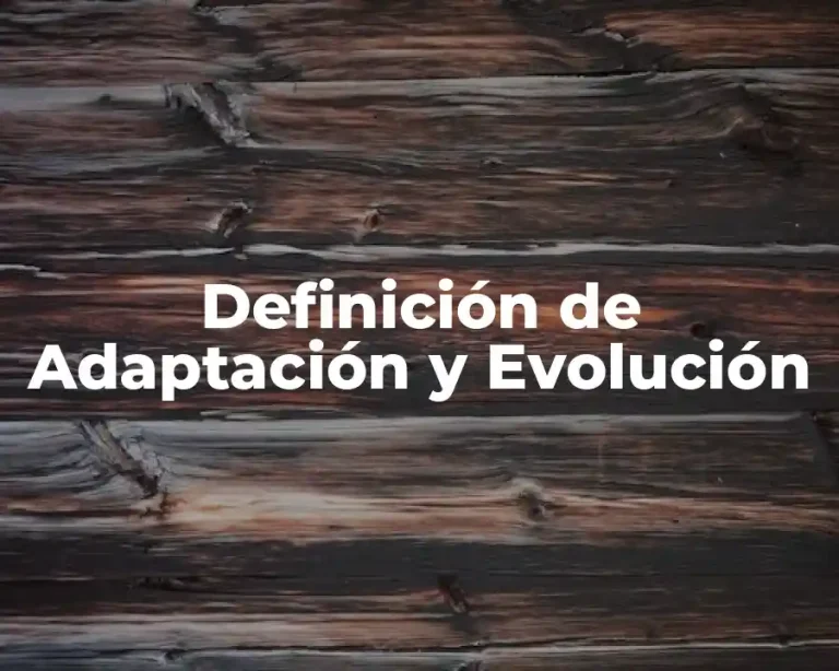 Definición de Adaptación y Evolución