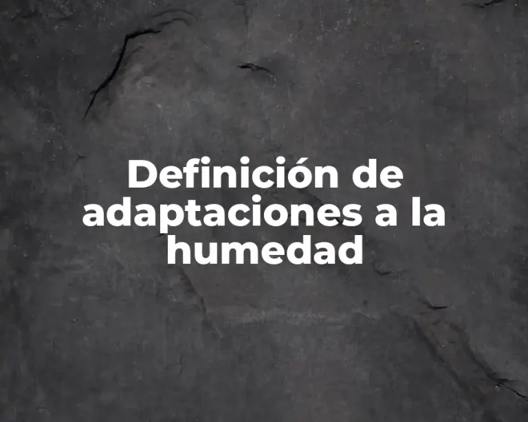Definición de adaptaciones a la humedad