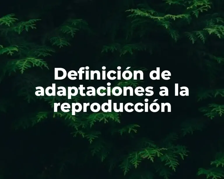 Definición de adaptaciones a la reproducción