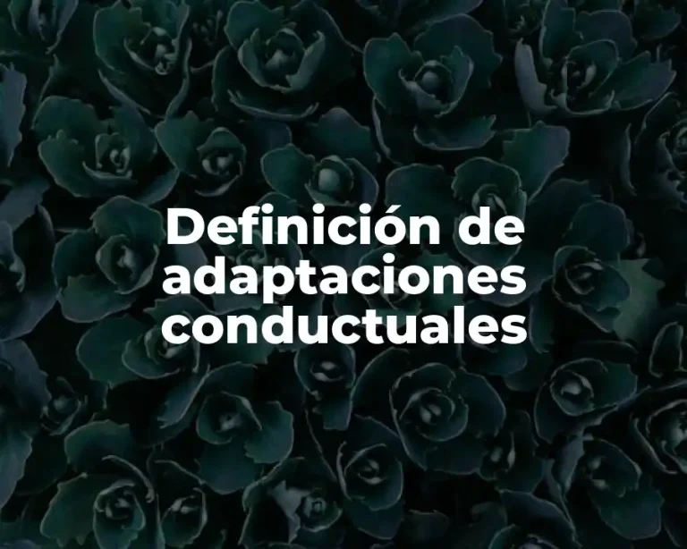 Definición de adaptaciones conductuales