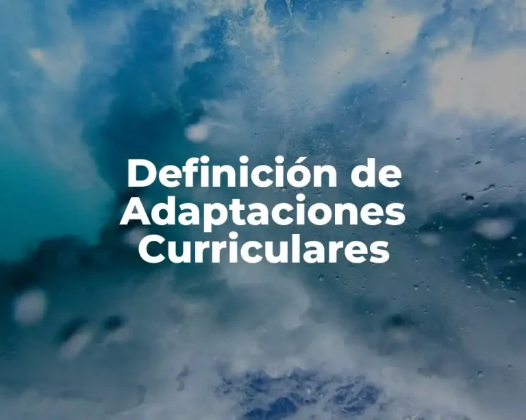 Definición de Adaptaciones Curriculares