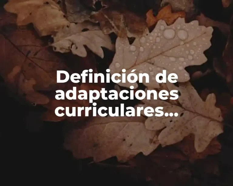 Definición de adaptaciones curriculares individualizadas