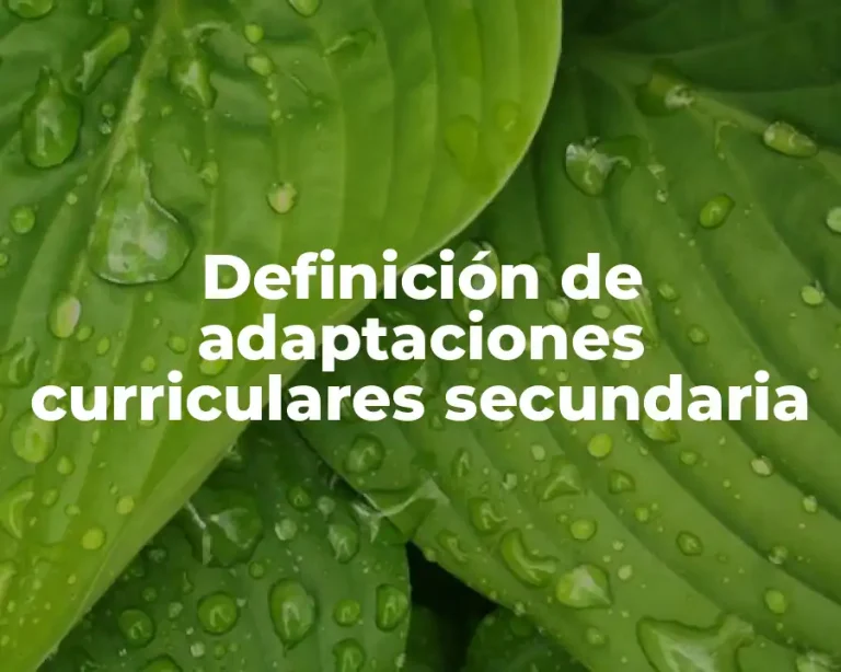 Definición de adaptaciones curriculares secundaria