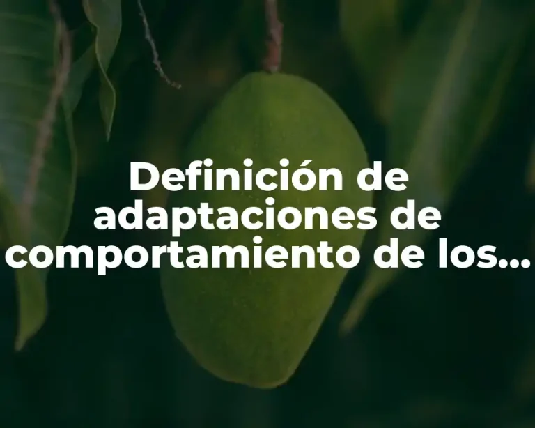 Definición de adaptaciones de comportamiento de los animales