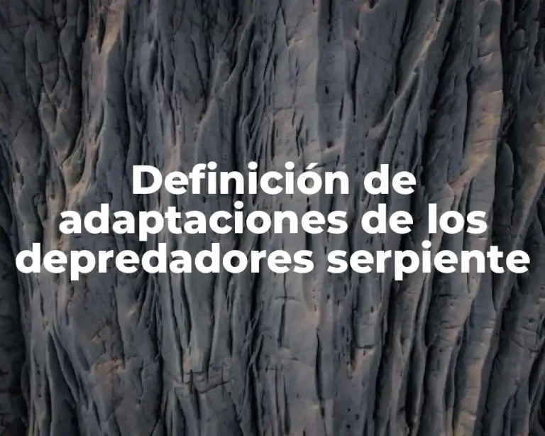 Definición de adaptaciones de los depredadores serpiente