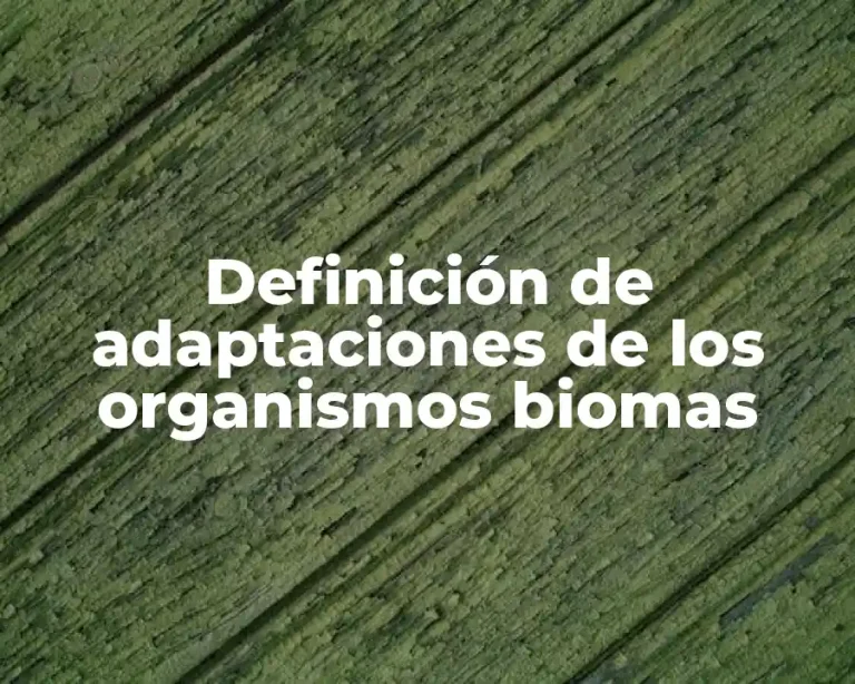 Definición de adaptaciones de los organismos biomas