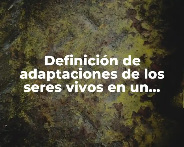 Definición de adaptaciones de los seres vivos en un ecosistema