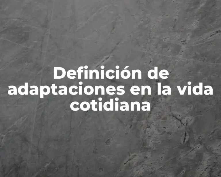 Definición de adaptaciones en la vida cotidiana